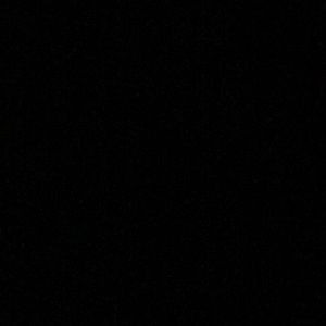 Meet your Posher, Ellie